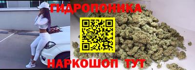 Альфа ПВП Лесосибирск