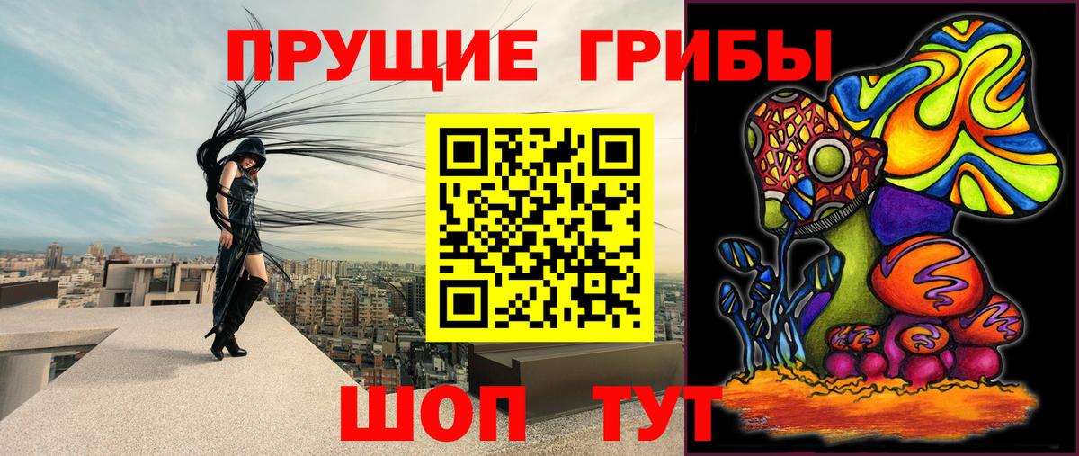 Псилоцибиновые грибы GOLDEN TEACHER Железногорск