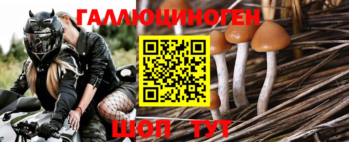 закладка  Вход с VPN  Галлюциногенные грибы мицелий  Железногорск  Псилоцибиновые грибы MAGIC MUSHROOMS 